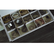 Accessory Organizer Pullout with Silent