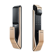 Samsung Biometric Push Pull D