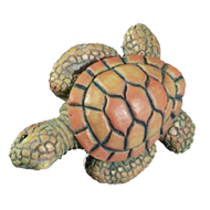 Colourful Turtle Cabinet Knob