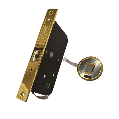 Smart Digital Finger Print Hinge Door Lock - Gold Finish