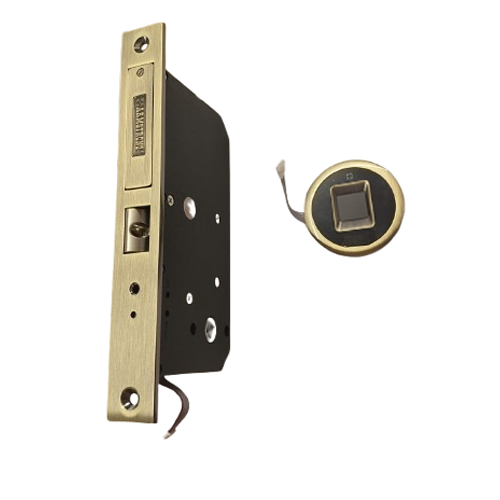 Smart Digital Finger Print  Hinge Door Lock - Antique Brass Finish