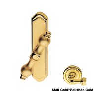 ALDAR Cremone Tower Bolt - Matt gold+Po
