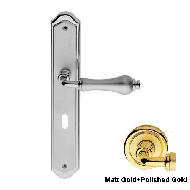 ALDAR Door Lever handle on Plate - Matt
