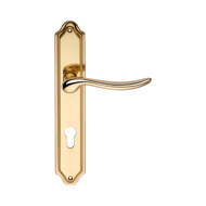 BETA Lever Door Handle on Plate - Patin